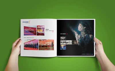 廣告傳媒全案策劃 畫冊、廣告與活動的整合傳播之道